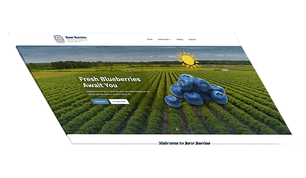 New Jersey Web Design Services - Samu Interactive